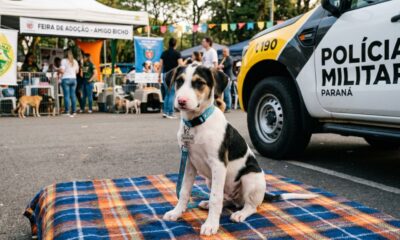 Cão de abrigo é levado sob custódia por policial e ganha uma nova vida