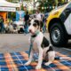 Cão de abrigo é levado sob custódia por policial e ganha uma nova vida