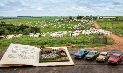 Pai deixa fazenda de R$ 47 milhões e 3000 cabeças de gado para um filho, e apenas 4 carros antigos para os outros três: lei obriga alteração na divisão