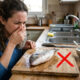 Adeus cheiro de peixe na cozinha: o truque com limão e sal que elimina o odor
