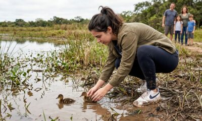 Patinho perdido é salvo após mulher estragar seus sapatos novos