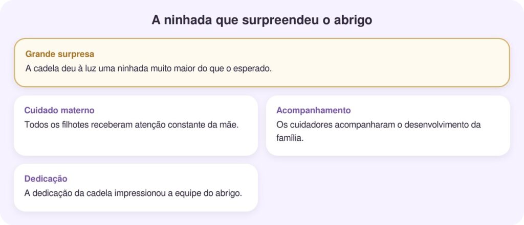 Cadela de abrigo dá à luz uma ninhada gigantesca e encanta como mãe