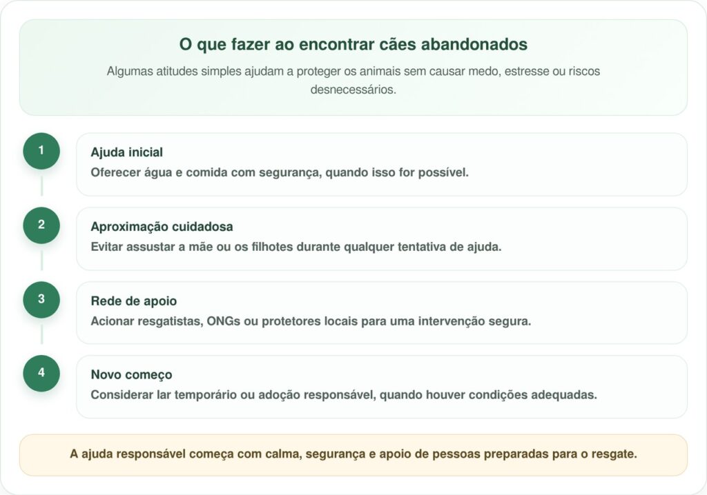 Menino sai de casa escondido para alimentar filhotes de rua