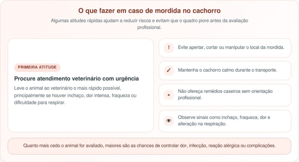 Essa pitbull foi mordida por uma cobra venenosa e continuou doce