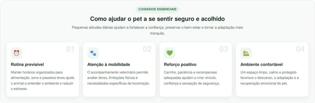 Transformação canina mostra como Freddy recuperou a vida com cuidado e amor