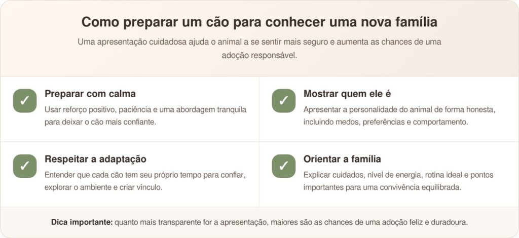 Cão de abrigo usa chapéu de caubói para esperar nova família
