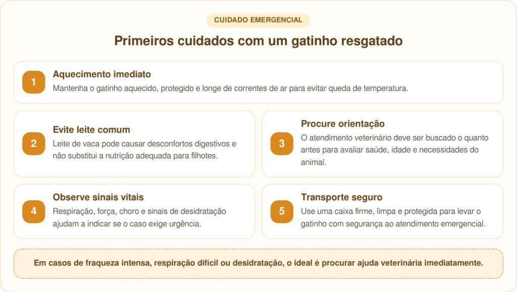 Homem salva gatinho vulnerável com copo do Starbucks
