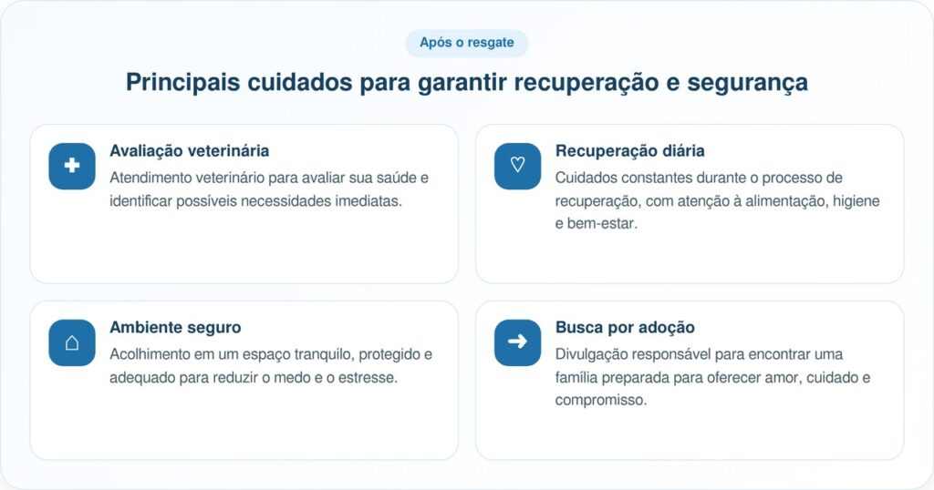 Comunidade de resgate salva pitbull doente duas vezes