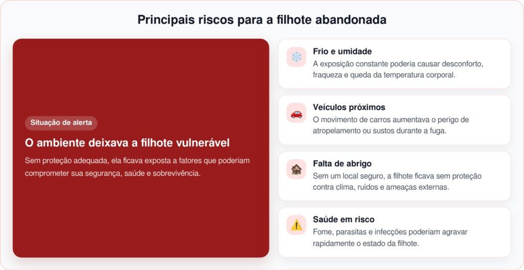 Cadela é encontrada em uma vala protegendo filhote recém-nascida