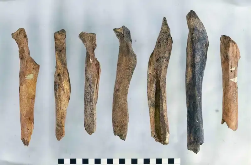Romanos quebravam milhares de ossos de vacas? Estudo revela uma indústria esquecida do Império Romano