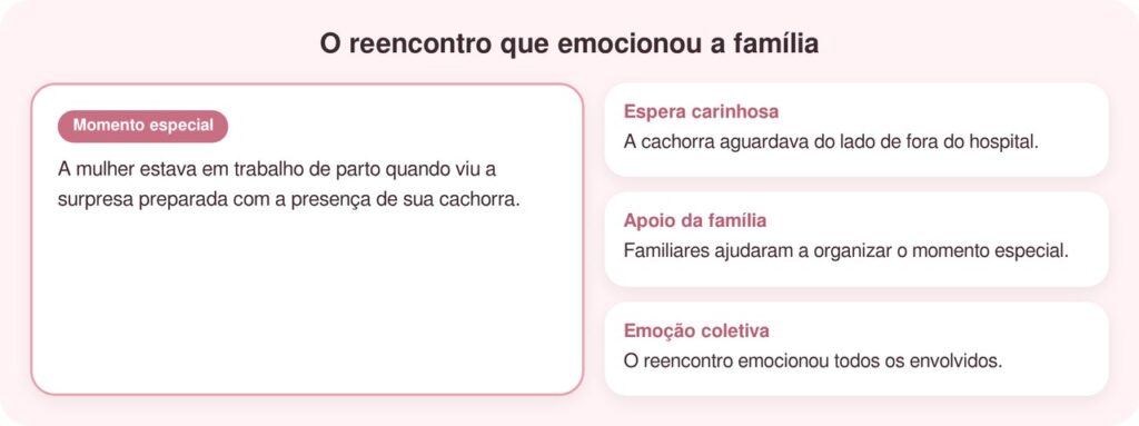 Mulher em trabalho de parto olha pela janela e encontra uma surpresa emocionante