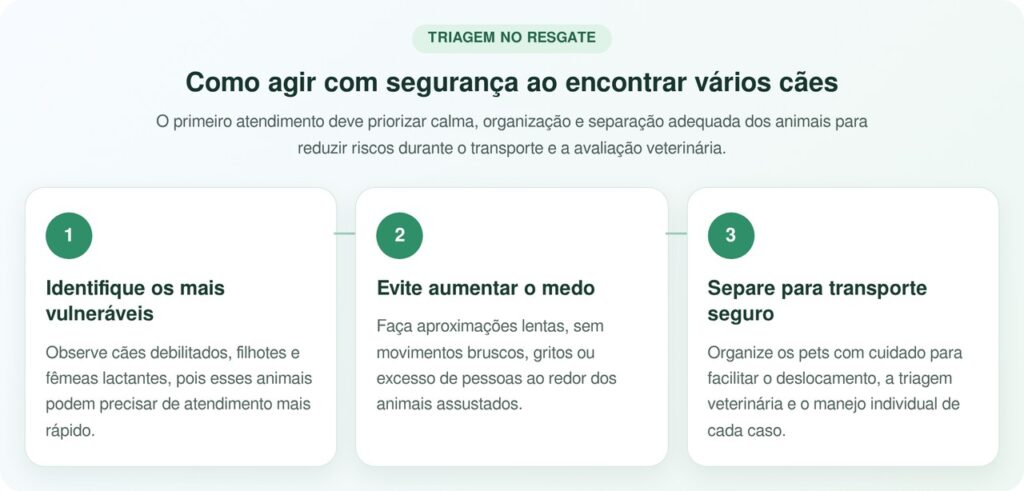 Equipes de resgate usam lanternas e resgatam 47 cães de casa abandonada