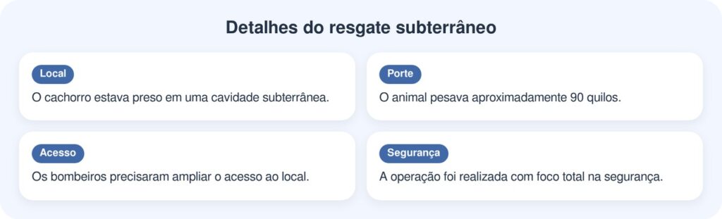 Bombeiros encontram cachorro de 90 quilos preso no subsolo após examinar pequeno buraco