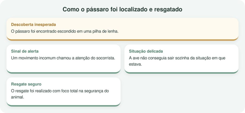 Movimento em pilha de lenha leva à descoberta de um pássaro enorme precisando de ajuda