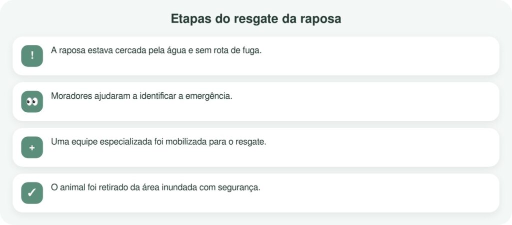 Raposa presa pela enchente é resgatada em operação emocionante