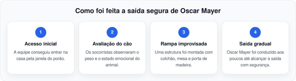 Cachorro Oscar Mayer é salvo após aparecer na janela de casa abandonada