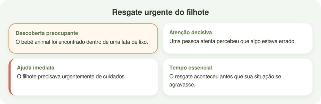Bebê abandonado em lata de lixo espera que alguém perceba que precisa de ajuda
