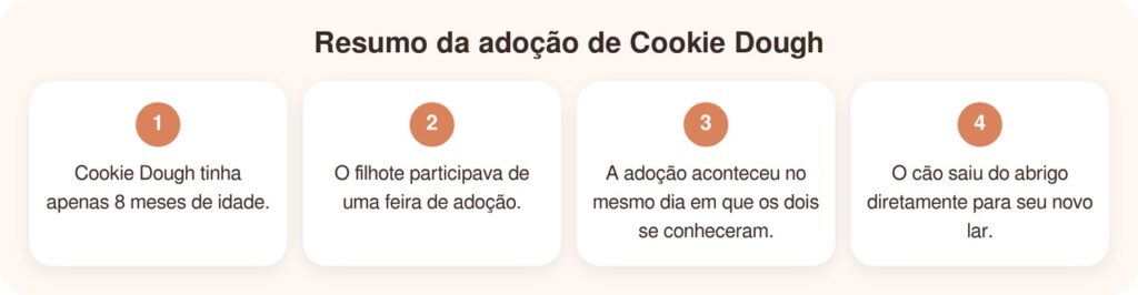 Cão de abrigo é levado sob custódia por policial e ganha uma nova vida