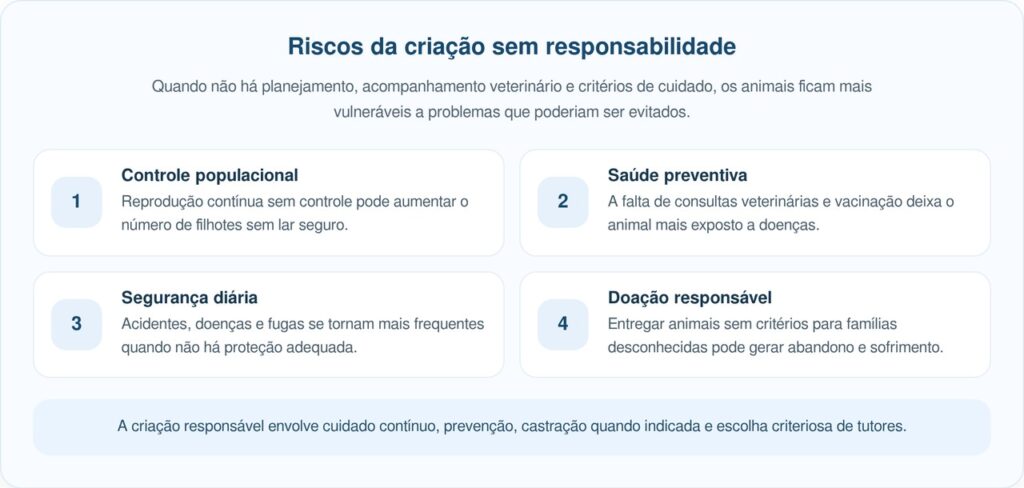 Gatos grátis em armazém de Nova York mobilizam moradores e alertam sobre adoção responsável