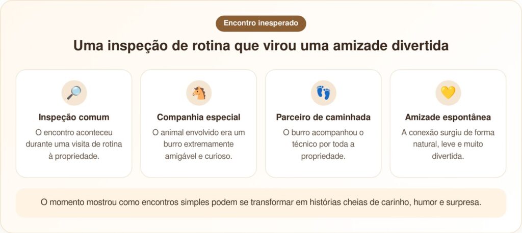 Eletricista chega para inspeção de rotina e faz um amigo inesperado