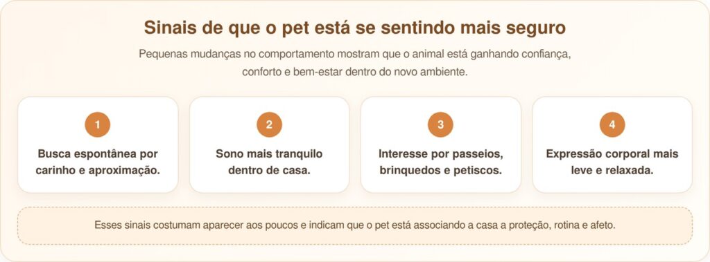 Pittie Coberta de Cicatrizes Emociona ao Mostrar Seu Doce Sorriso