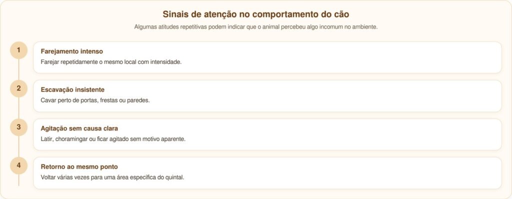 Pastores alemães insistem em galpão trancado e revelam surpresa