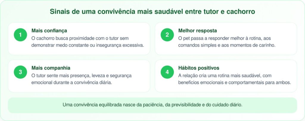 3 cachorrinhos resgatados que mudaram a vida de seus donos