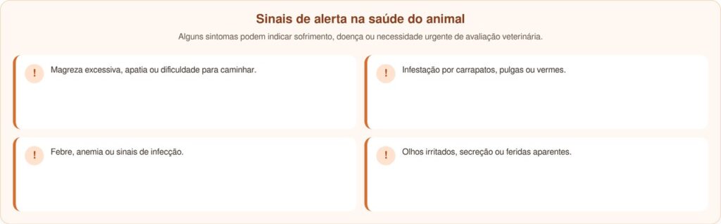 Cachorro abandonado comove ao oferecer pedaço de pão aos socorristas