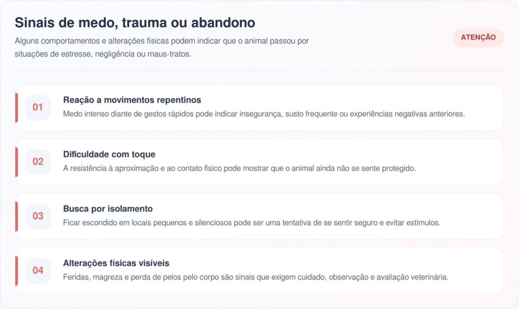 Cão Goofy se transforma após ganhar suéter em resgate emocionante