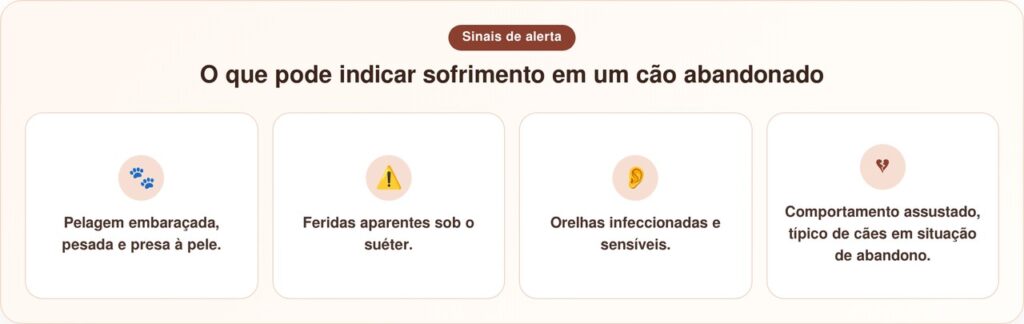 Cadela vira-lata resgatada fica irreconhecível depois de receber sua primeira tosa