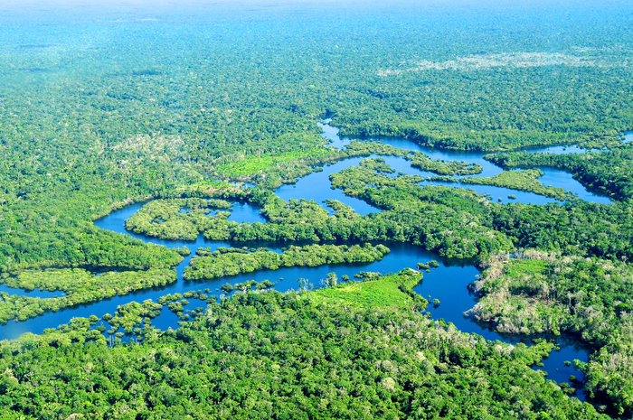 O asteroide que matou os dinossauros provocou mudanças profundas na vegetação da Amazônia