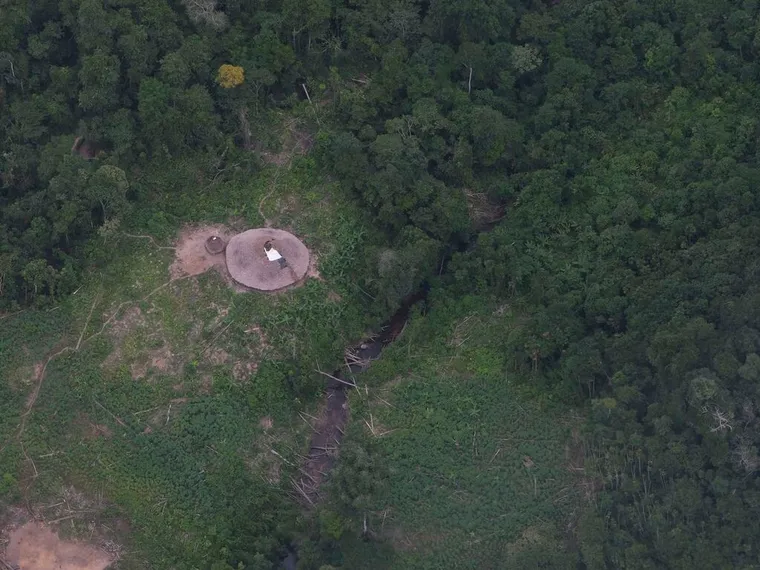 O que é a Terra Indígena Yanomami e por que ela é tão importante para o Brasil?