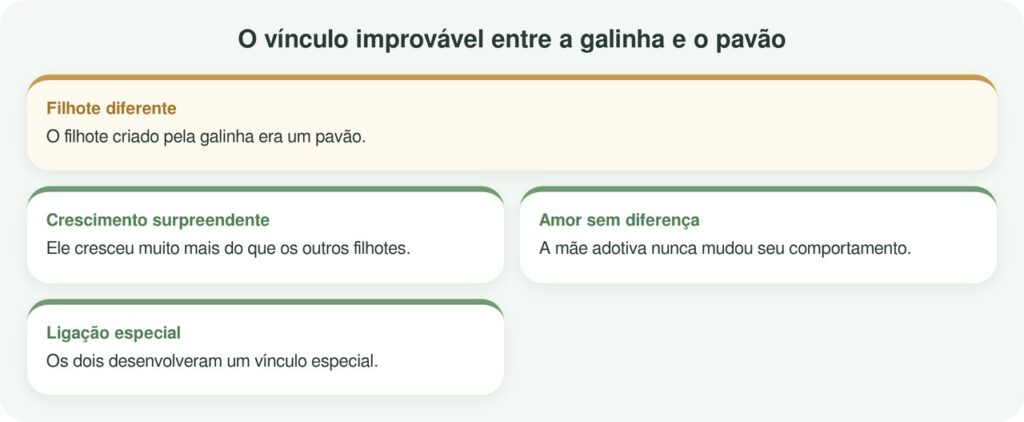 Galinha cria um filhote muito maior que os outros e continua tratando-o igual