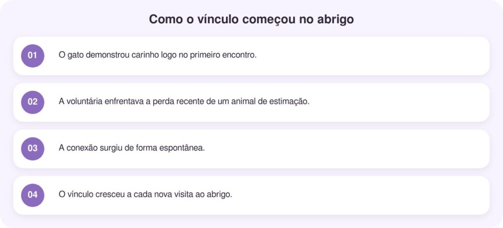 Gato de abrigo dá cabeçada em voluntária enlutada e transforma duas vidas para sempre