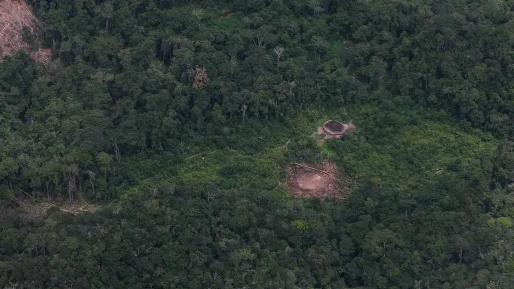 O que é a Terra Indígena Yanomami e por que ela é tão importante para o Brasil?