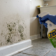 Borrifar água sanitária nas paredes de casa: para que serve e por que é recomendado