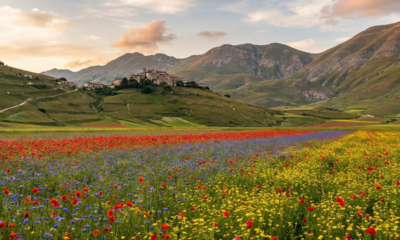Todo verão, um pequeno vilarejo italiano parece uma pintura graças a uma leguminosa e encanta com paisagens únicas quase irreais