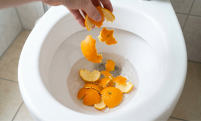 Jogar cascas de laranja no vaso sanitário uma vez por semana no inverno: para que serve e quais são os seus benefícios