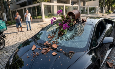 Mulher pendura orquídeas na varanda do 15º andar, vaso despenca sobre carro de luxo e seguro do condomínio se recusa a cobrir o estrago de R$ 40 mil