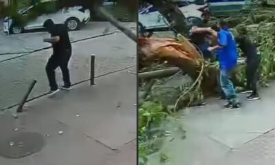 Homem em calçada, ao lado pessoas perto de árvore caída após vendaval