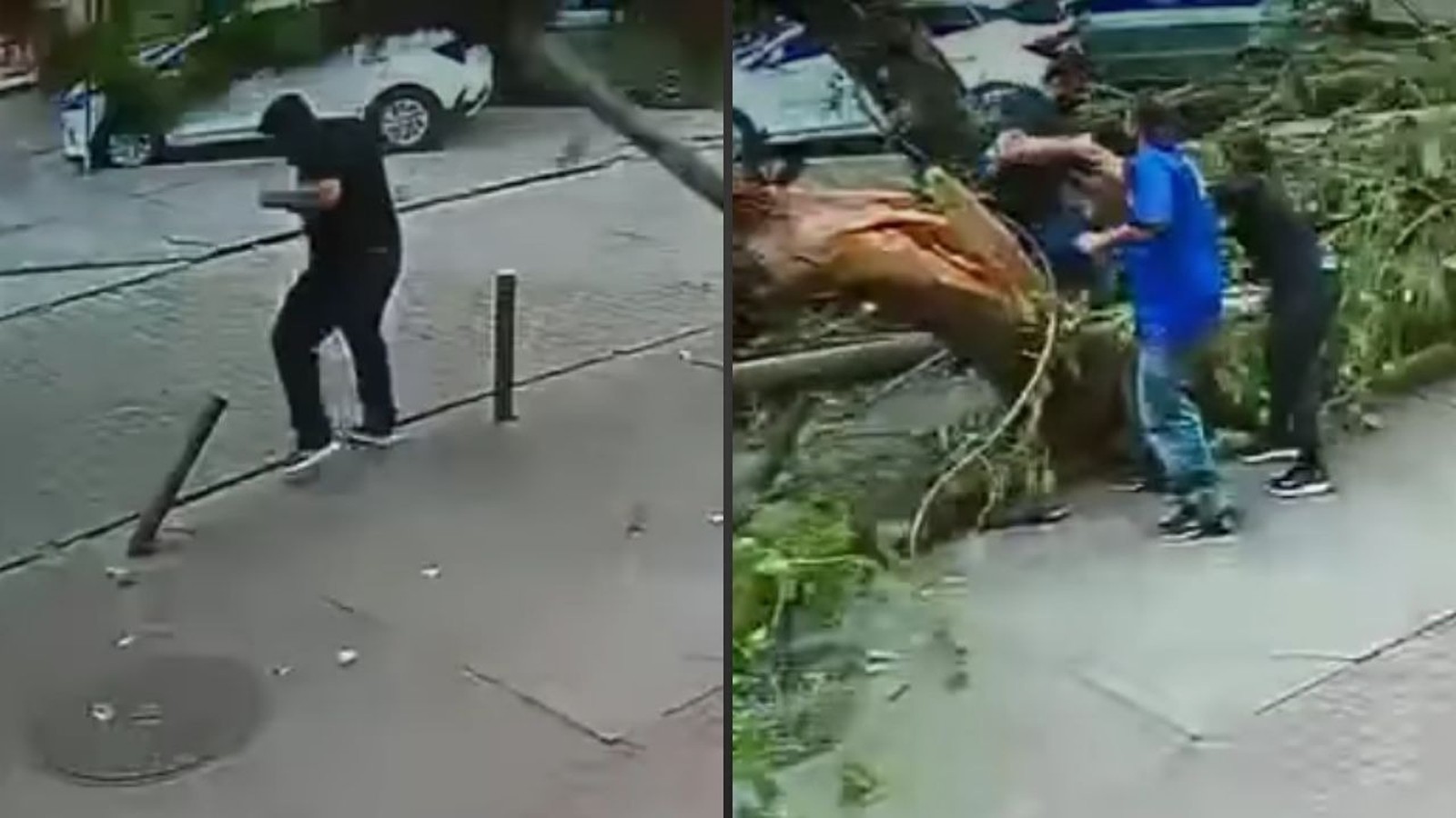 Homem em calçada, ao lado pessoas perto de árvore caída após vendaval