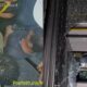 Dois homens dentro de um ônibus e uma porta de vidro do BRT estilhaçada.