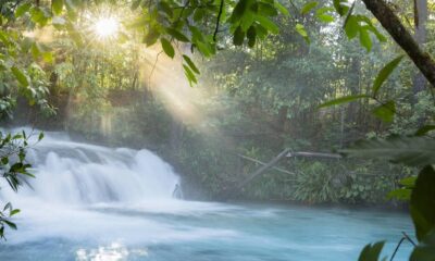 Cachoeira em rio de águas cristalinas com luz solar intensa atravessando a folhagem da floresta.