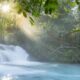 Cachoeira em rio de águas cristalinas com luz solar intensa atravessando a folhagem da floresta.