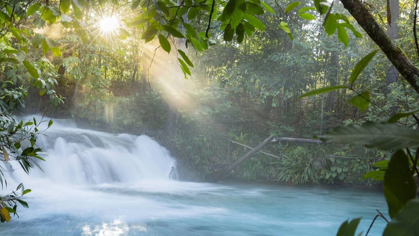 Cachoeira em rio de águas cristalinas com luz solar intensa atravessando a folhagem da floresta.