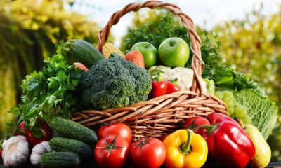 Cesta de vime com brócolis, maçãs verdes, pimentões, tomates e outros vegetais frescos
