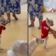 Cão chihuahua de moletom vermelho em pé nas patas traseiras, interagindo com mulher sorrindo