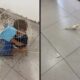 Criança dentro de gaiola de pássaros e calopsita solta em piso de azulejos claros