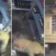 Leopardo em três quadros de câmera de segurança dentro de uma loja com prateleiras