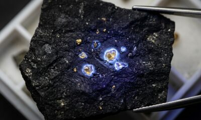 Âmbar mais antigo do mundo é encontrado por cientistas chineses em bloco de carvão: ele tem cerca de 385 milhões de anos